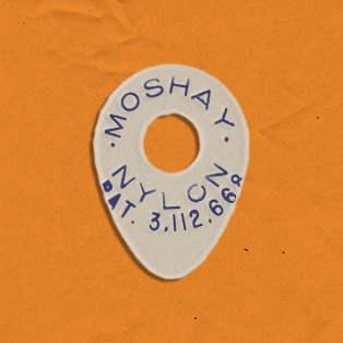 Blue (Thick .040) Nylon Guitar Picks (6 Pack)