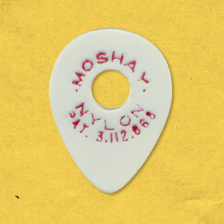 Blue (Thick .040) Nylon Guitar Picks (6 Pack)